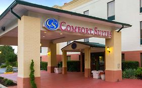 Comfort Suites Cumming-Atlanta Near Northside Hospital Forsyth